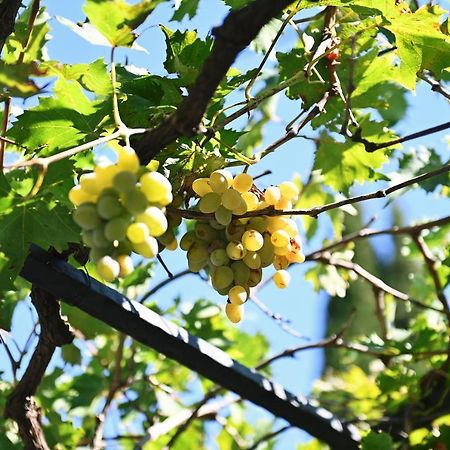 Villa Privatna Kuca Krimeja Fiume Esterno foto